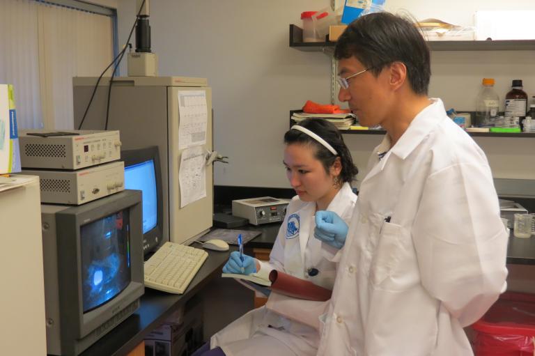 Two scientists in lab coats observe some images that appear blue on a monitor in a laboratory. One takes notes while the other stands beside her, both wearing gloves.