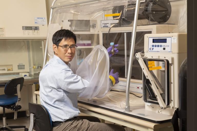 A scientist in a lab coat works with equipment inside a glove box, wearing purple gloves. The lab setting is orderly and focused.